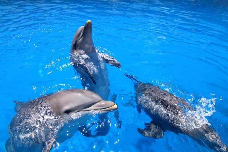 Costa Del Sol Apartment เบนัลมาเดนา ภายนอก รูปภาพ